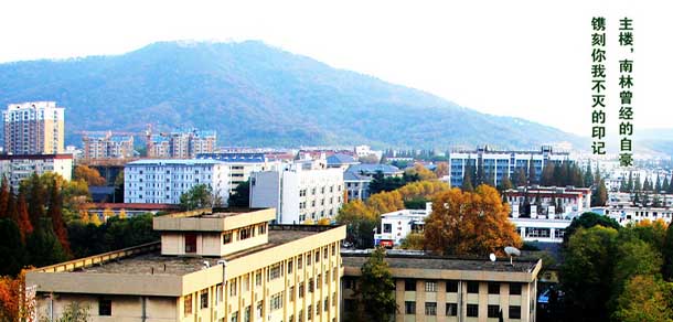 南京林业大学