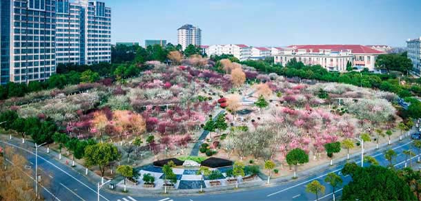 江苏大学