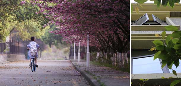 南京中医药大学