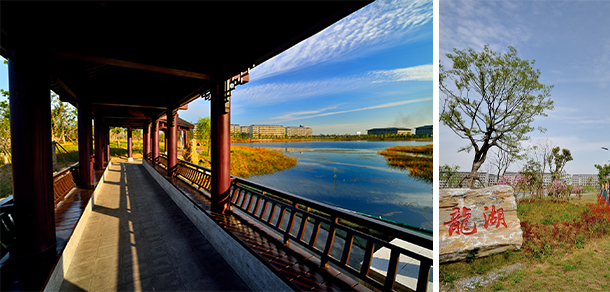 南京师范大学中北学院 - 最美大学