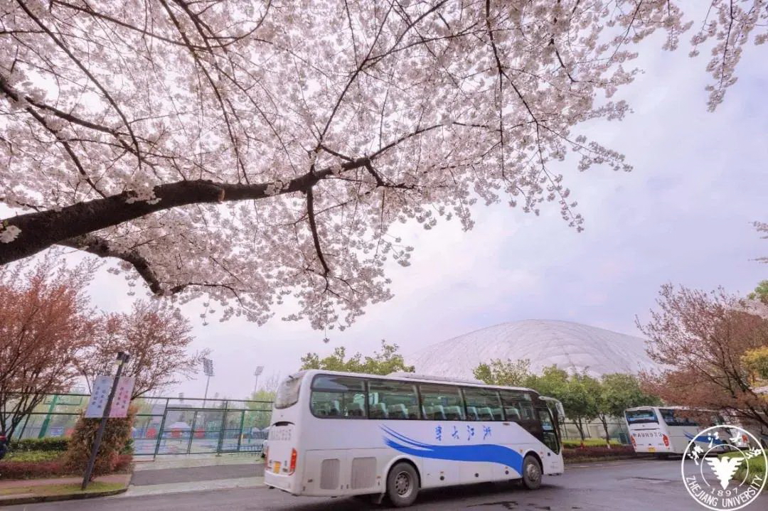 浙江大学 早安青春