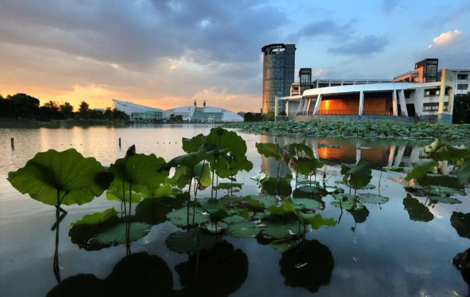 浙江大学 早安青春