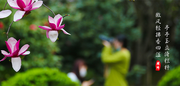 湖州师范学院 - 最美大学