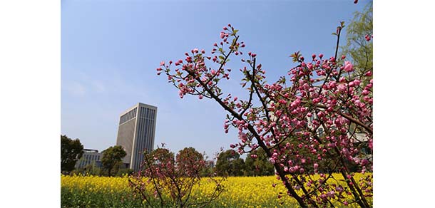 浙江水利水电学院