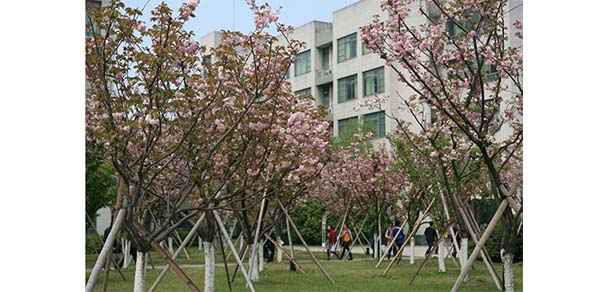 浙江水利水电学院