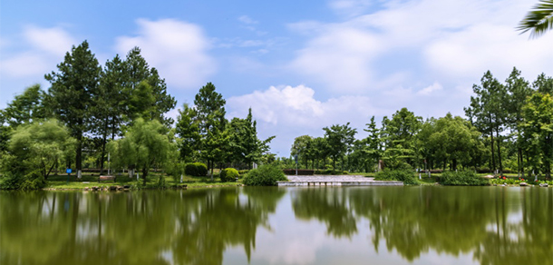 我的大學-大學志