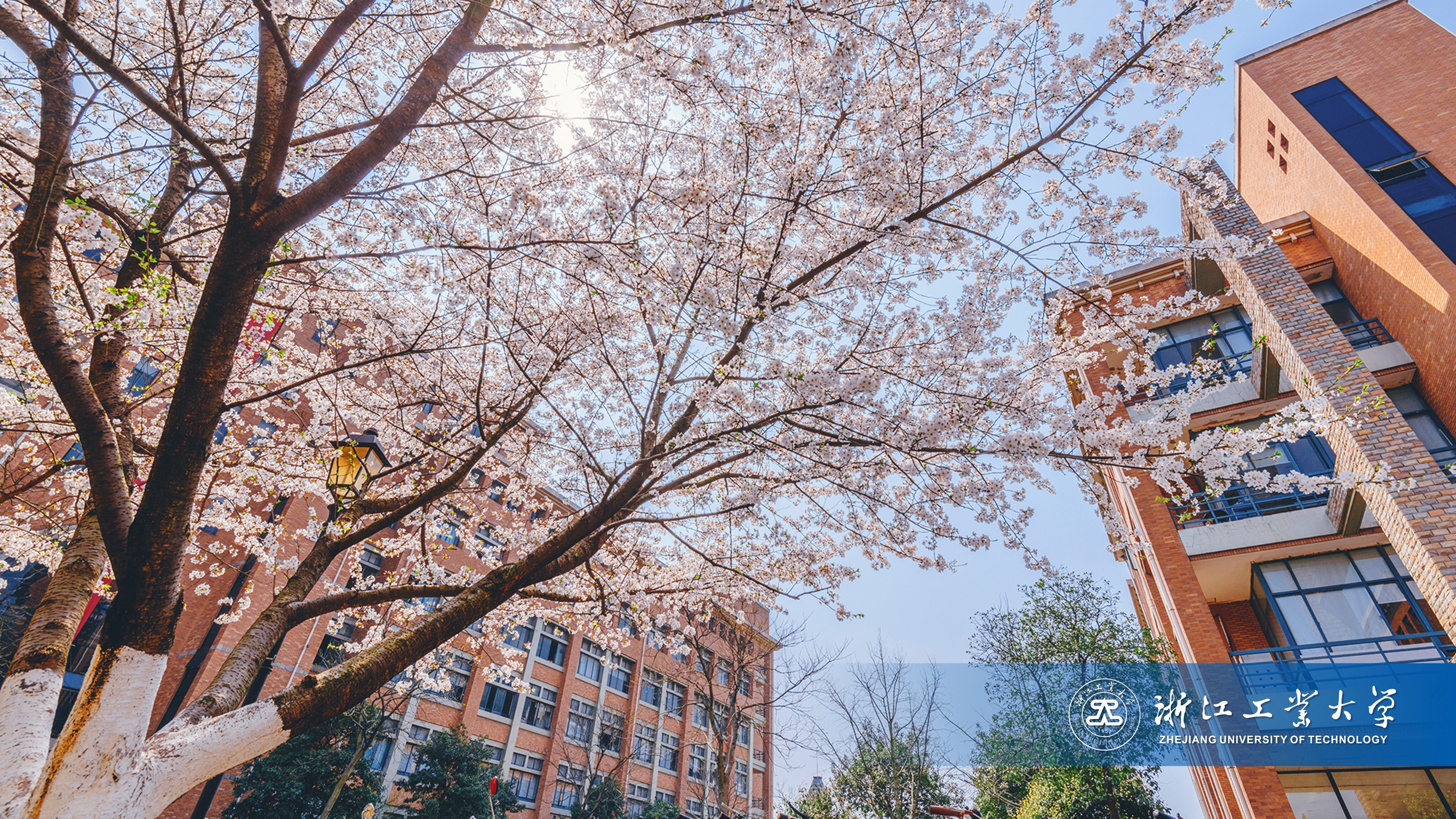 浙江工业大学 早安青春