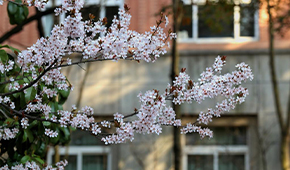 浙江药科职业大学-校园风光