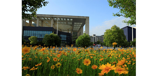 我的大學-大學志