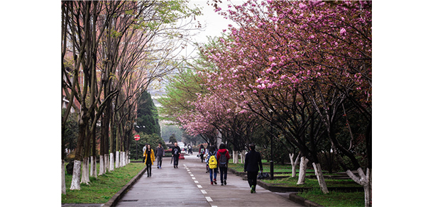 浙江机电职业技术大学 - 最美大学