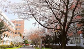 浙江机电职业技术大学 - 最美印记