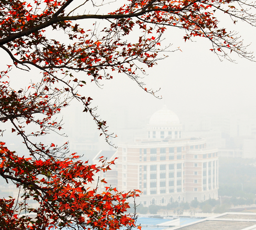 温州医科大学 早安青春