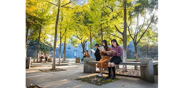 宁波城市职业技术学院 - 最美大学