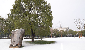 合肥大学-校园风光