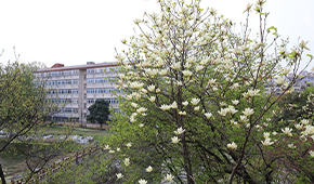 池州职业技术学院-校园风光