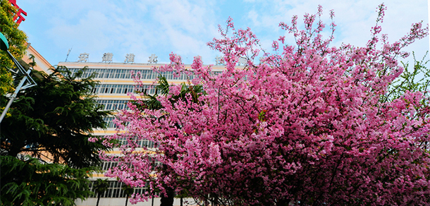 我的大學-大學志