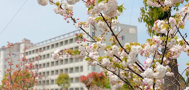 安徽扬子职业技术学院