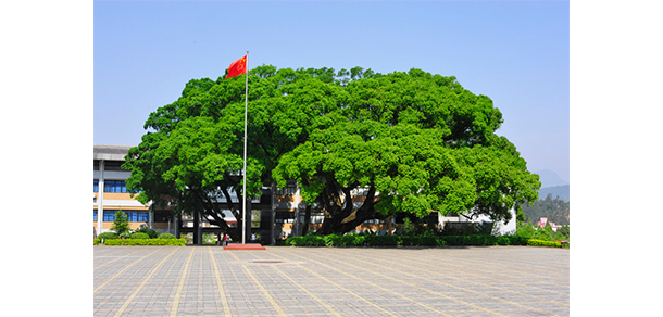 我的大學-大學志