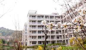 福建农林大学金山学院-校园风光