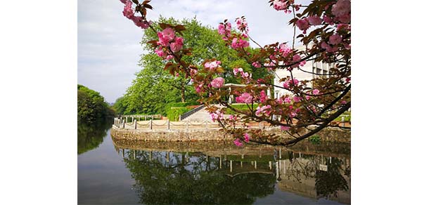 赣东学院