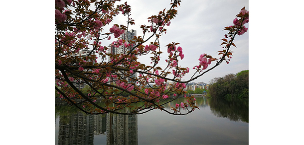 赣东学院 - 最美大学