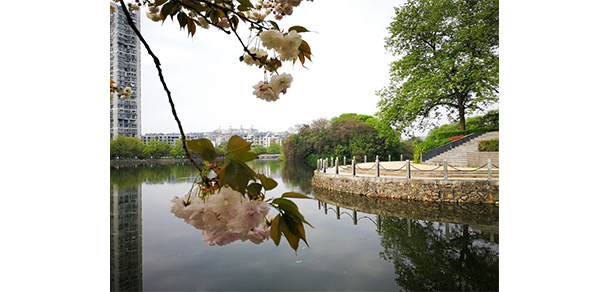 赣东学院 - 最美大学