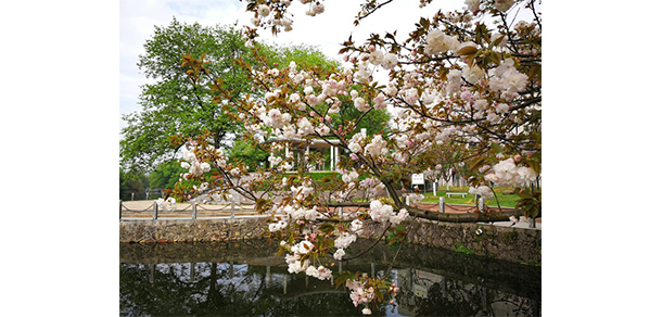 赣东学院 - 最美大学