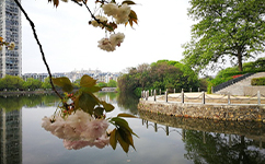 赣东学院 - 我的大学