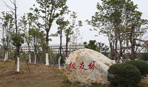 江西师范大学科学技术学院-校园风光