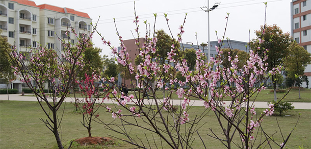 江西科技职业学院 - 最美大学