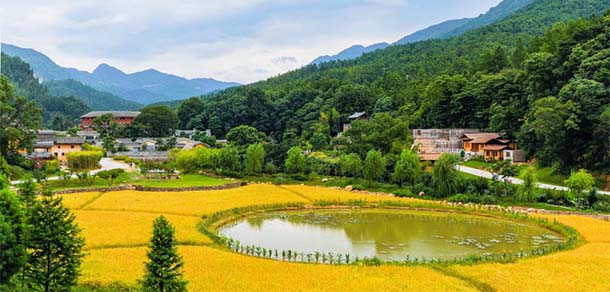 和君职业学院 - 最美院校