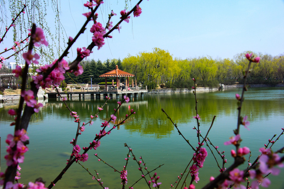 青岛农业大学-校园风景