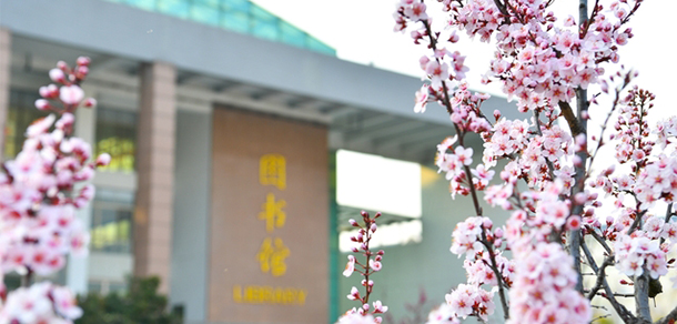 潍坊医学院 - 最美大学