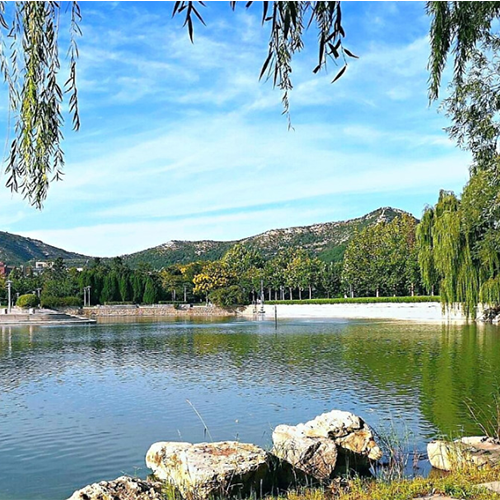 山东师范大学-流金岁月