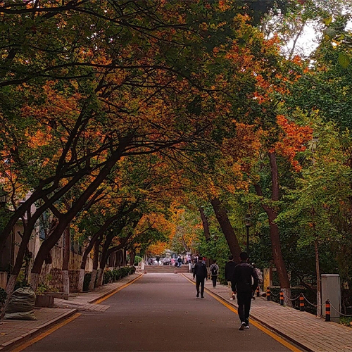 山东师范大学 - 追求卓越，逐光前行