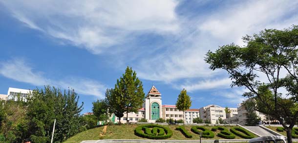 鲁东大学