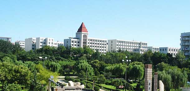 鲁东大学