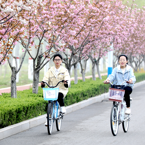 我的大學