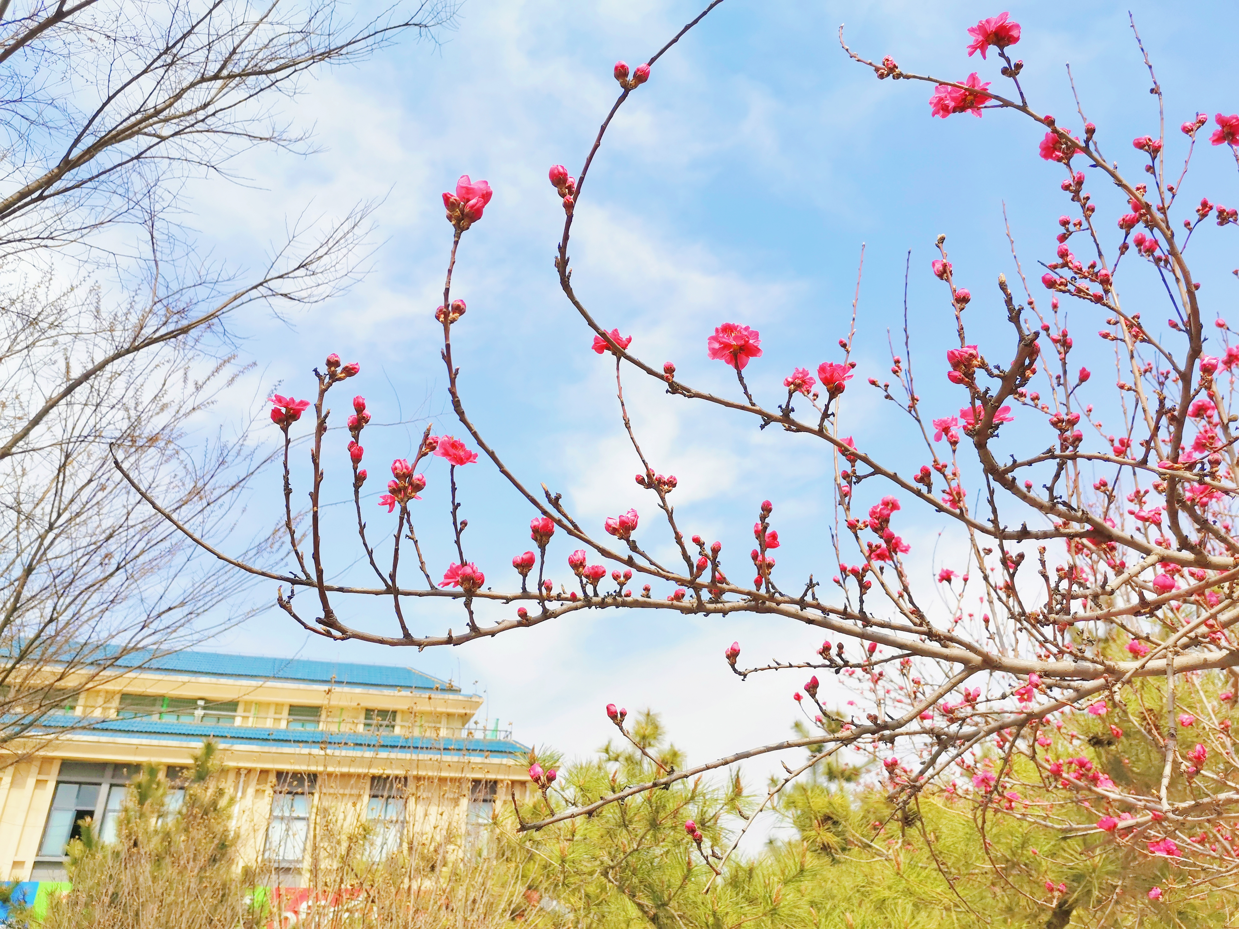 临沂大学 我的大學