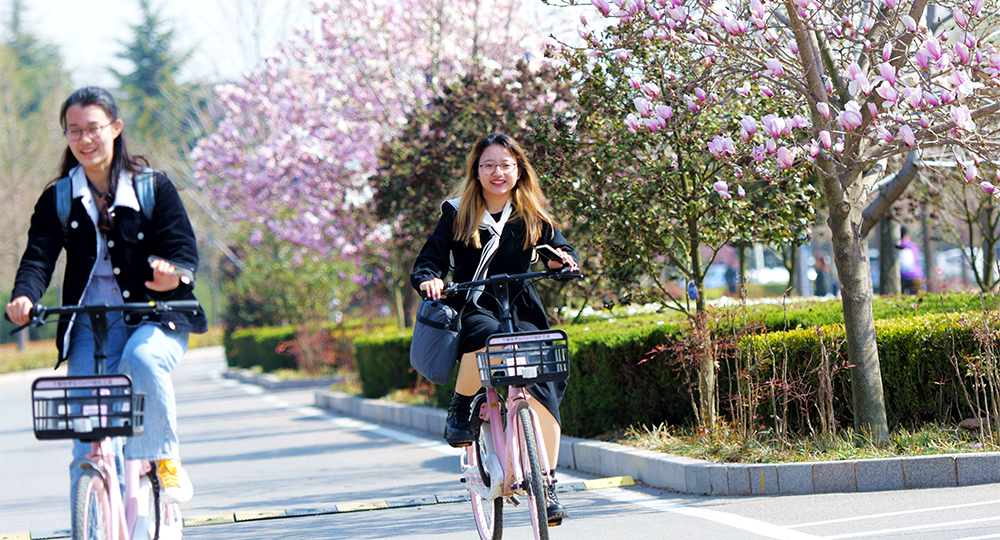 中國最美大學