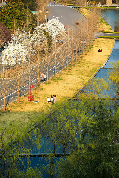 山东科技大学-流金岁月