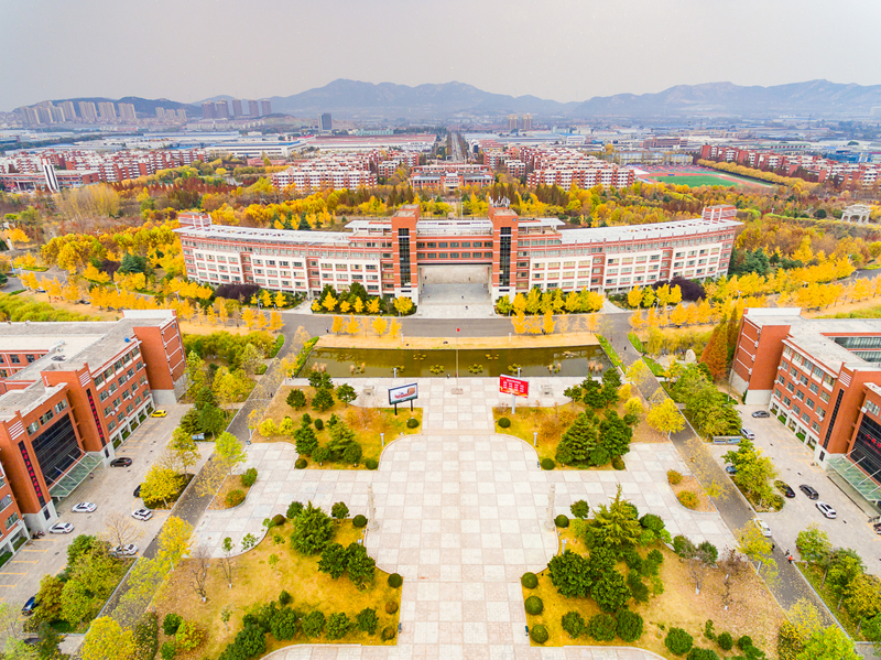 山东科技大学 我的大學