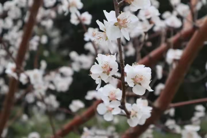 烟台大学 我的大學