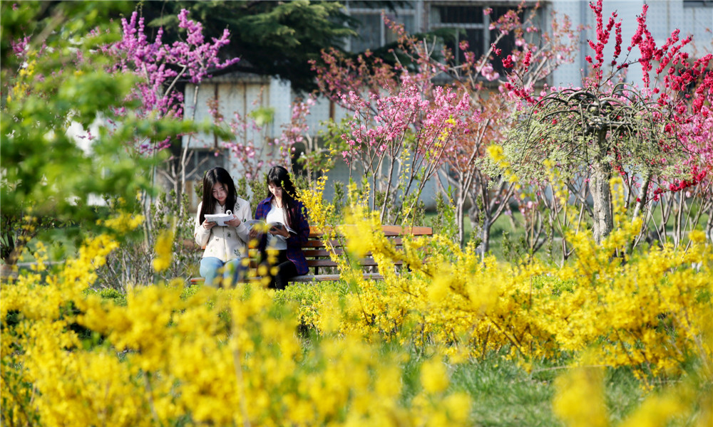 陌上花開