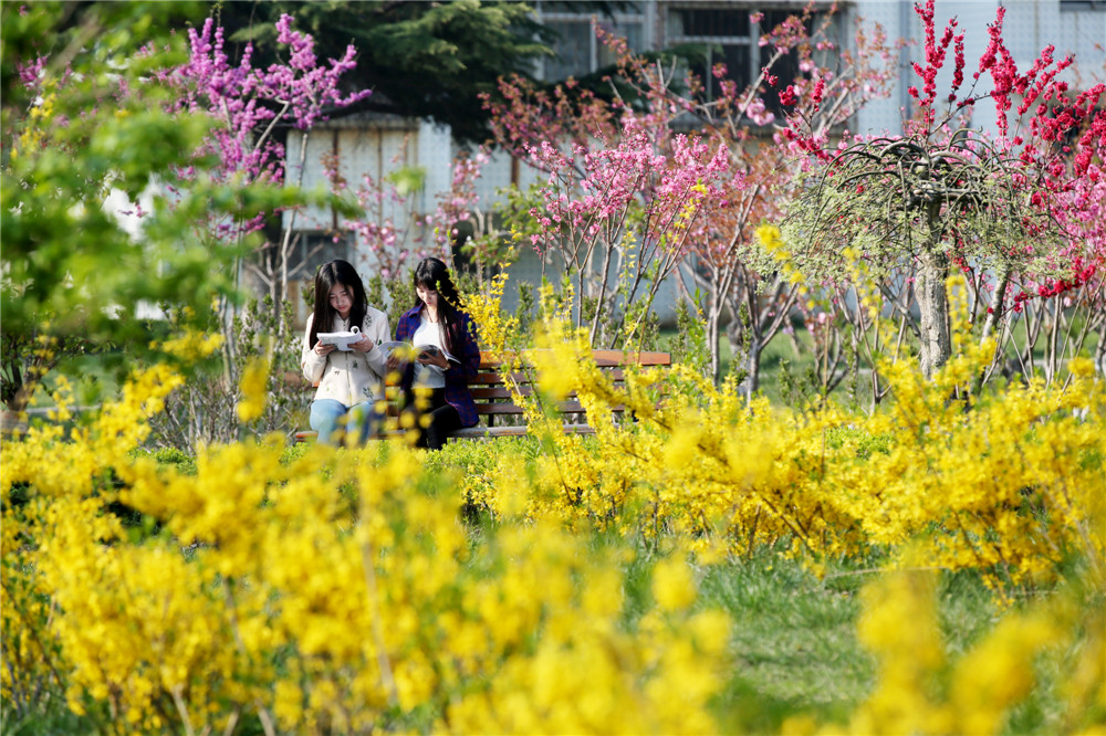 山东工商学院 我的大學