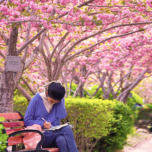 大學文化