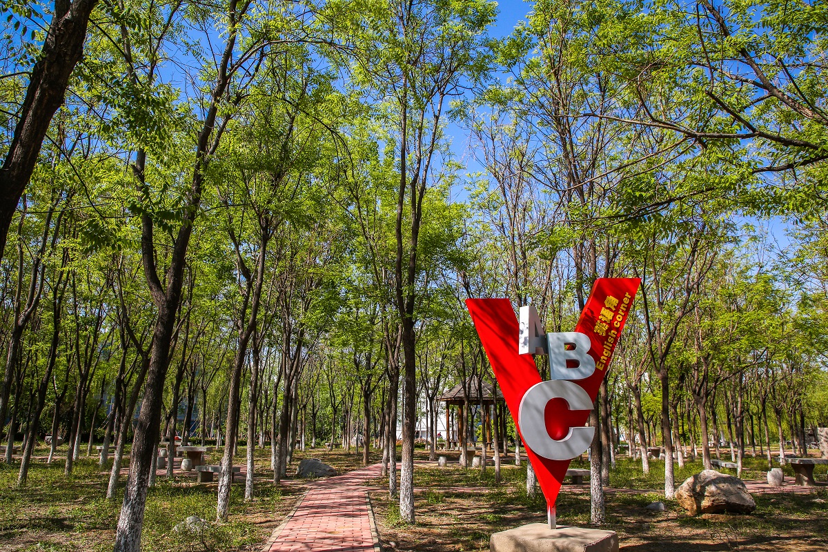 山东工程职业技术大学 早安青春