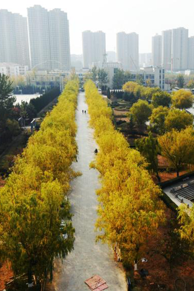 烟台理工学院