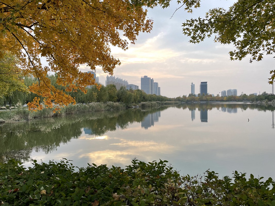 山东石油化工学院 早安青春