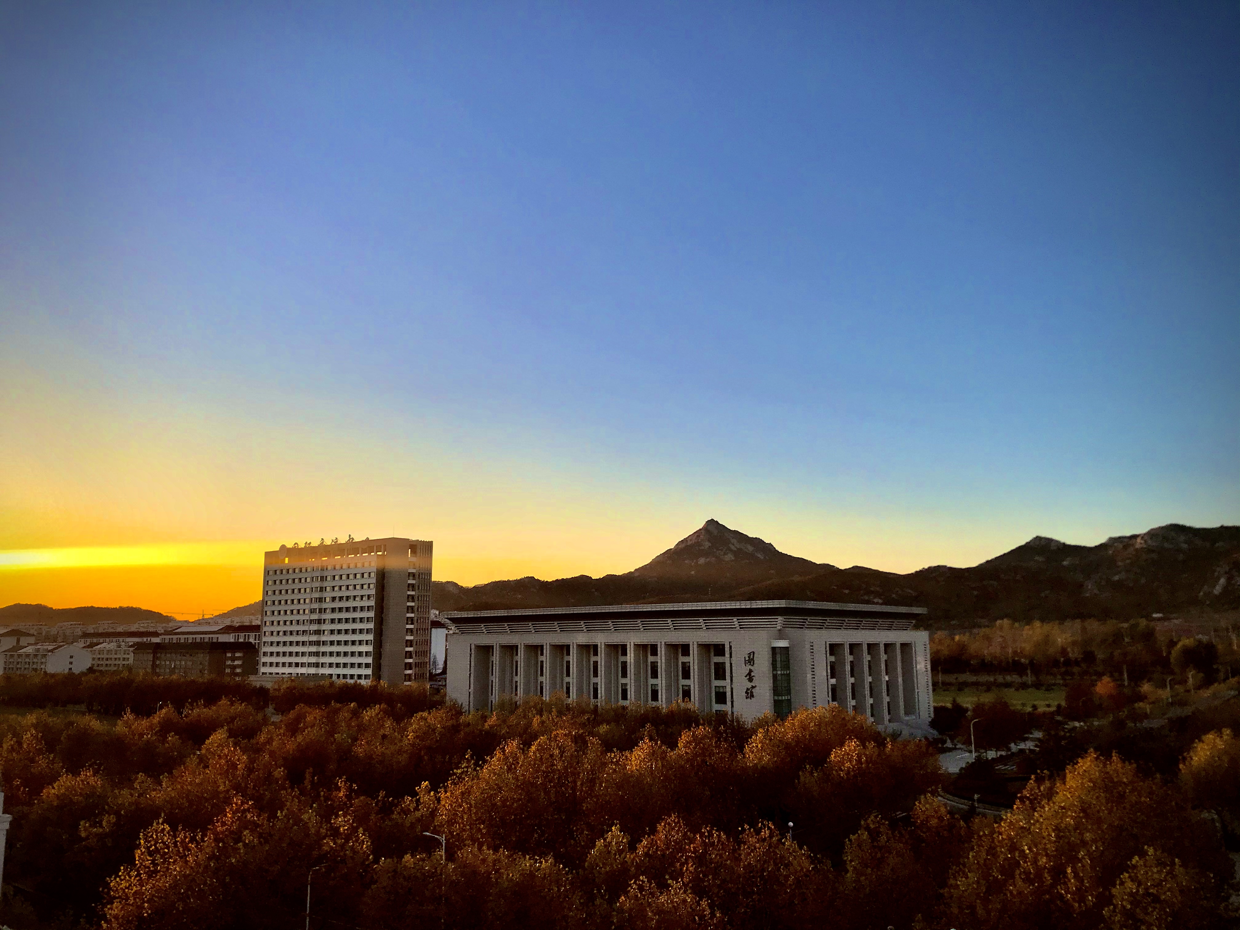 山东外事职业大学-校园风景